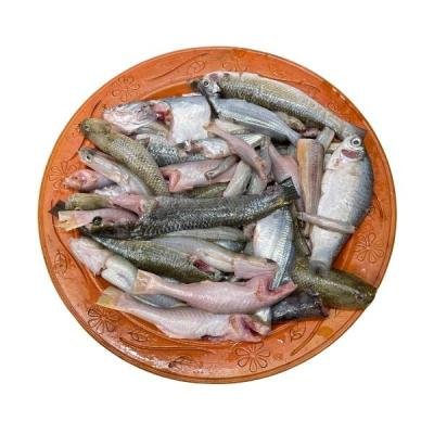 পাঁচমিশালি